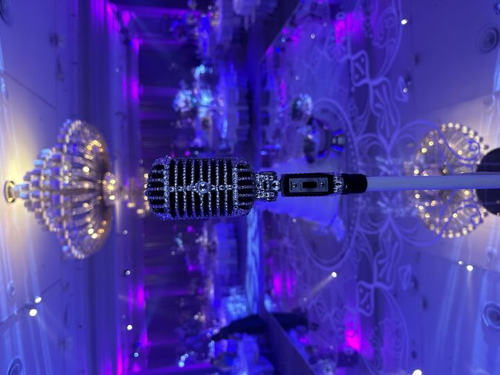 Forever Diamonds Showband - performance photo 20