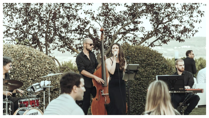 The Fireflies - performance photo 96