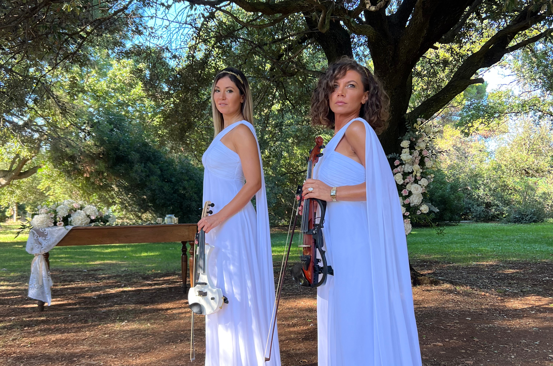 The Two Violins
