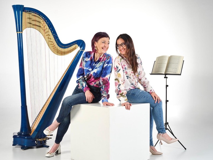The Milan Harpist - performance photo 13