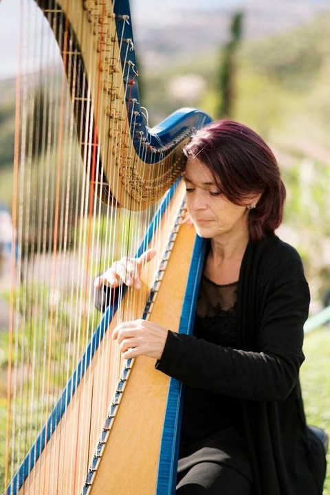 The Milan Harpist - performance photo 2
