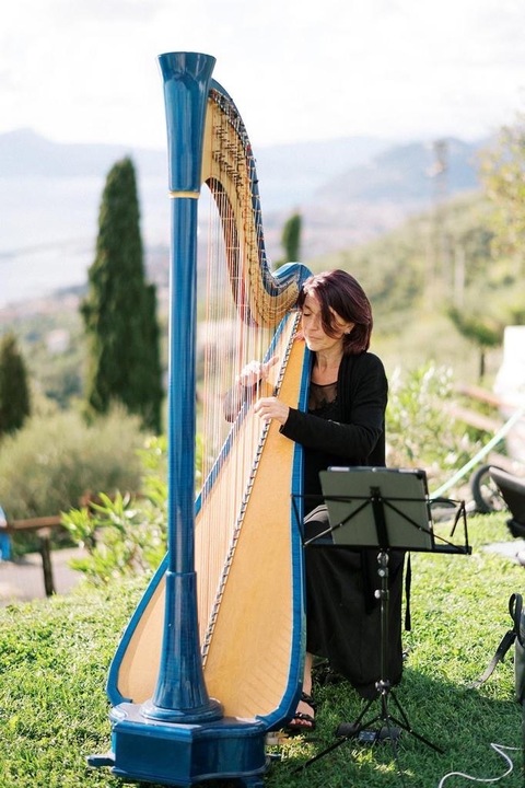 The Milan Harpist - performance photo 3