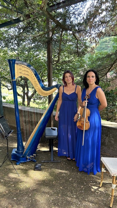 The Milan Harpist - performance photo 8