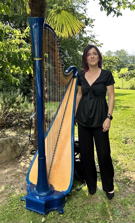 The Milan Harpist - performance photo 4