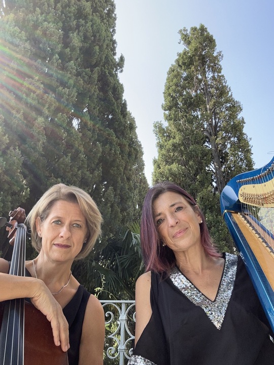 The Milan Harpist - performance photo 12