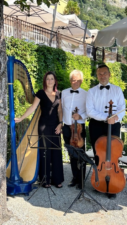 The Milan Harpist - performance photo 7