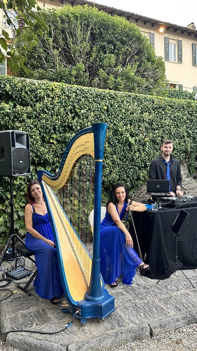 The Milan Harpist - performance photo 9