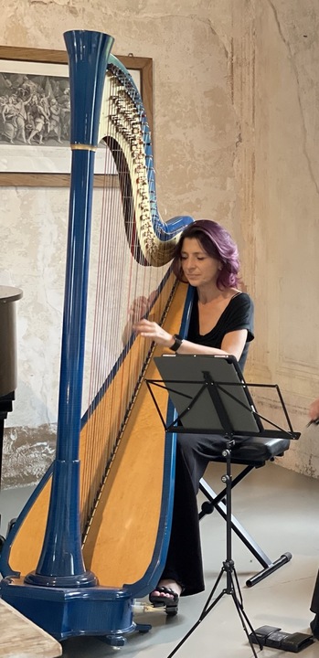 The Milan Harpist - performance photo 1