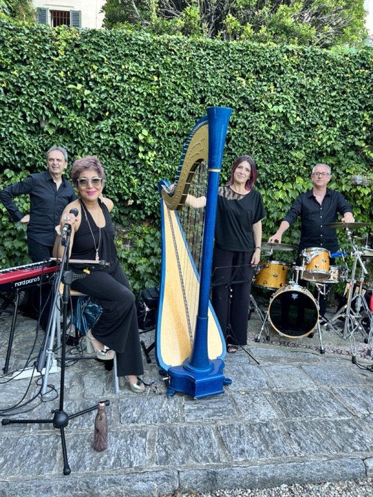 The Milan Harpist - performance photo 6