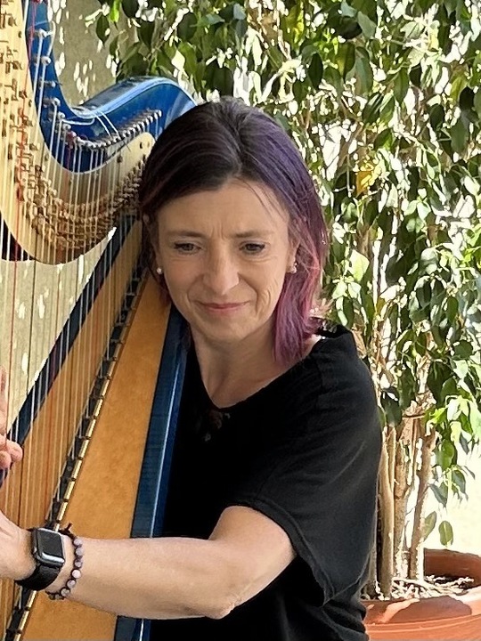 The Milan Harpist - performance photo 5