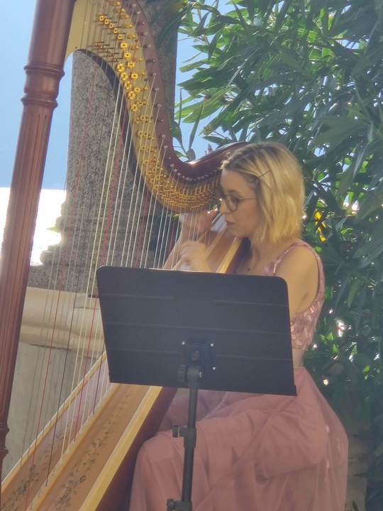 The Lombardy Harpist - performance photo 19