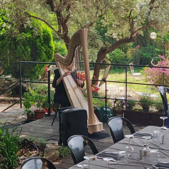 The Lombardy Harpist - performance photo 20