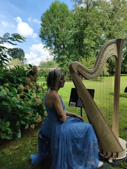 The Lombardy Harpist - performance photo 24