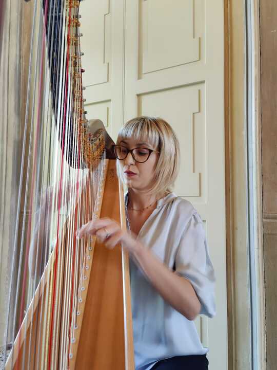 The Lombardy Harpist - performance photo 3