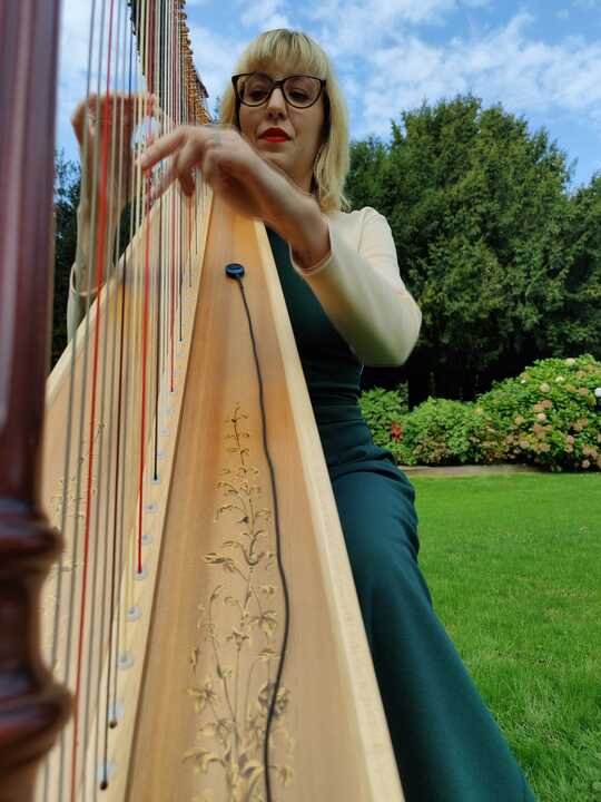 The Lombardy Harpist - performance photo 5
