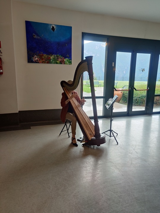 The Lombardy Harpist - performance photo 13
