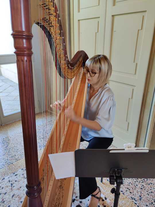 The Lombardy Harpist - performance photo 4