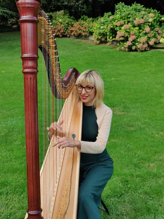The Lombardy Harpist - performance photo 9