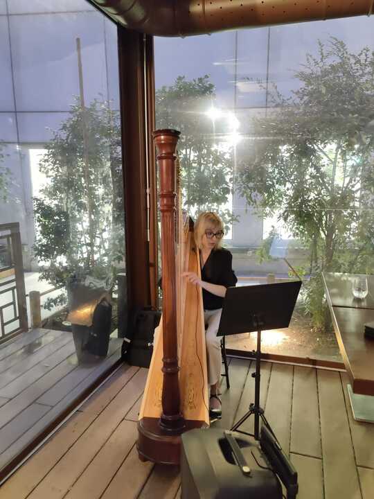 The Lombardy Harpist - performance photo 10