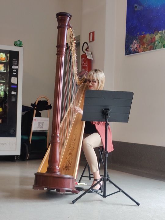 The Lombardy Harpist - performance photo 14