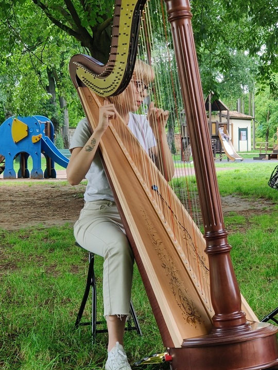The Lombardy Harpist - performance photo 12