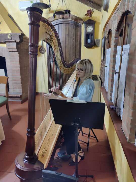 The Lombardy Harpist - performance photo 1