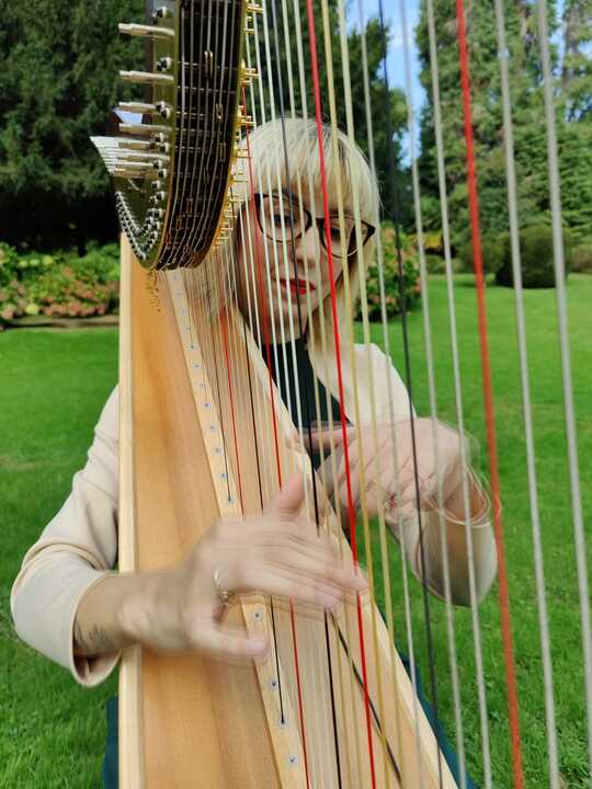 The Lombardy Harpist - performance photo 7