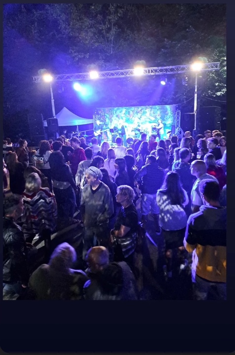 The Wildcards - performance photo 76