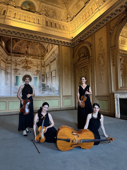 Fede Strings Collective - performance photo 13