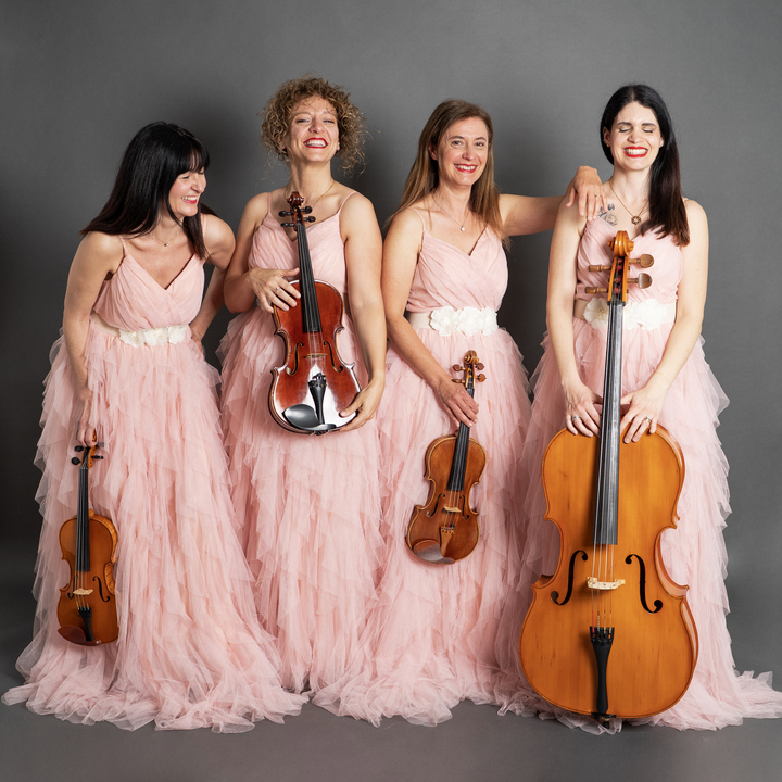 Fede Strings Collective - performance photo 1