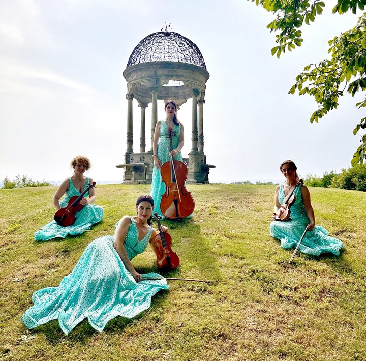 Fede Strings Collective - performance photo 16