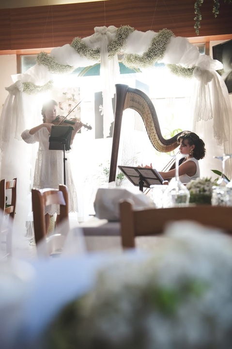 Aurora Harp - performance photo 7