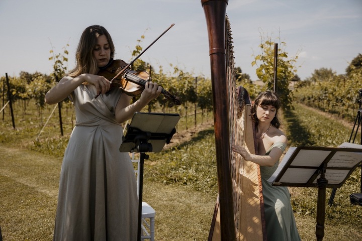 Aurora Harp - performance photo 8