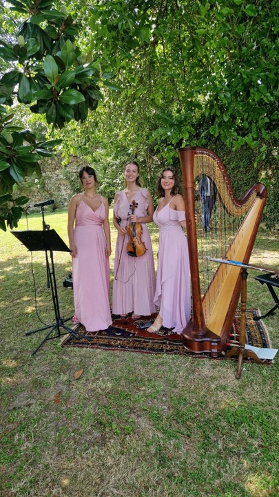 Aurora Harp - performance photo 6