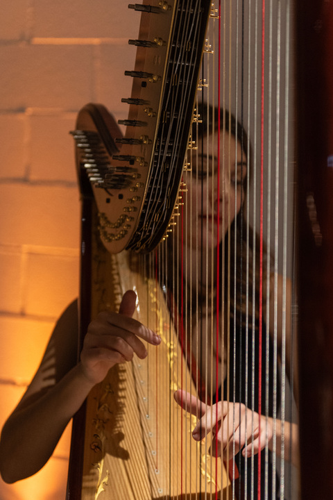Celeste Harp - performance photo 2