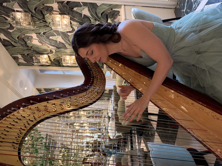 Celeste Harp - performance photo 5