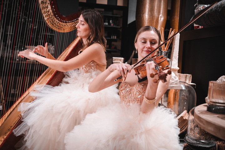 Celeste Harp - performance photo 33