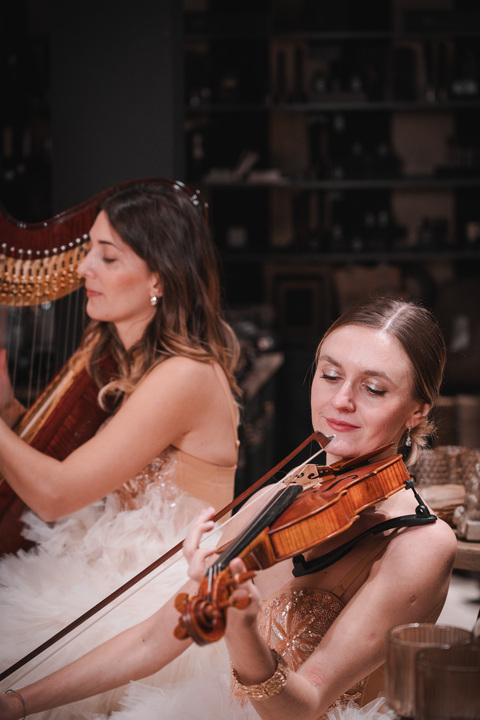 Celeste Harp - performance photo 35