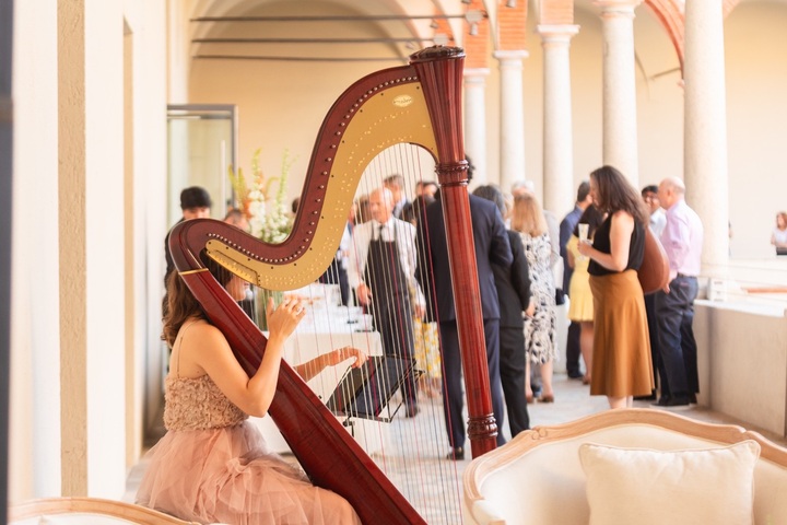 Celeste Harp - performance photo 24