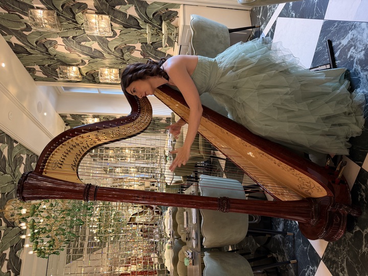 Celeste Harp - performance photo 6