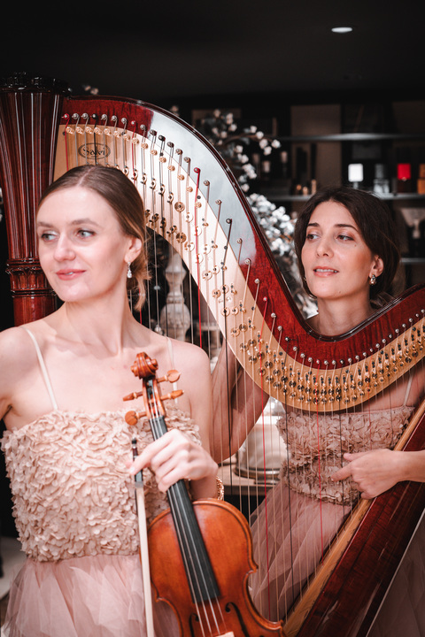 Celeste Harp - performance photo 30