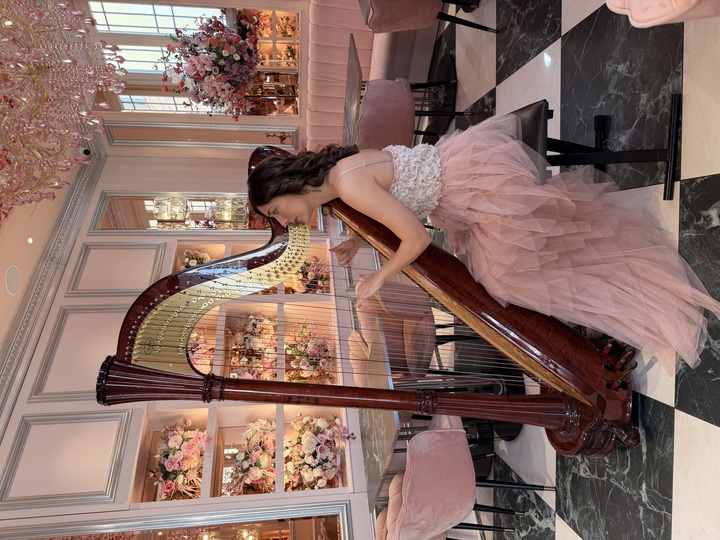 Celeste Harp - performance photo 8