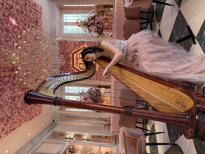 Celeste Harp - performance photo 7