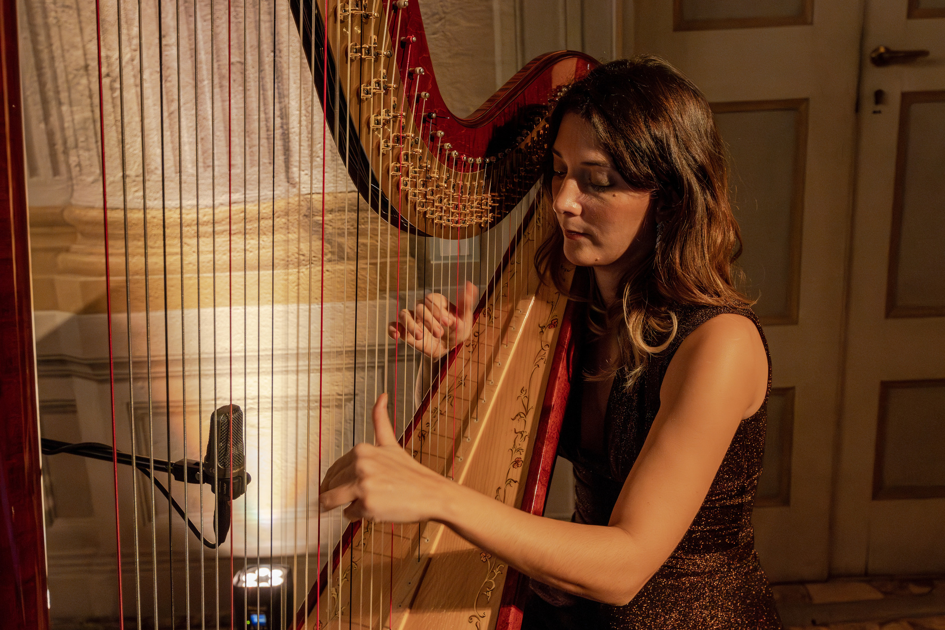 Celeste Harp