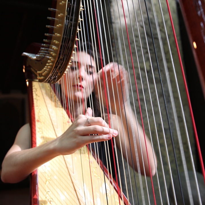 Celeste Harp - performance photo 9