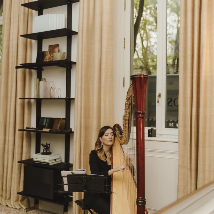 Celeste Harp - performance photo 12