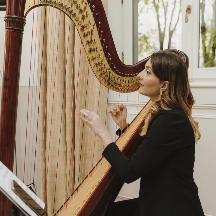 Celeste Harp - performance photo 11