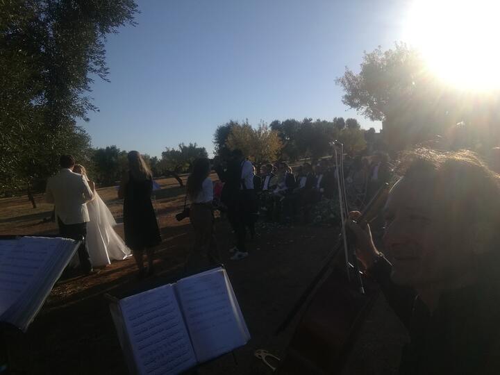 The Puglia String Quartet - performance photo 16