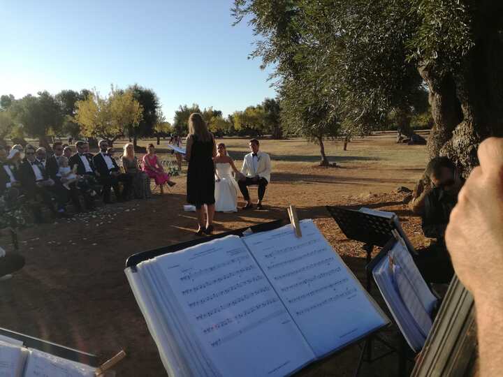The Puglia String Quartet - performance photo 43