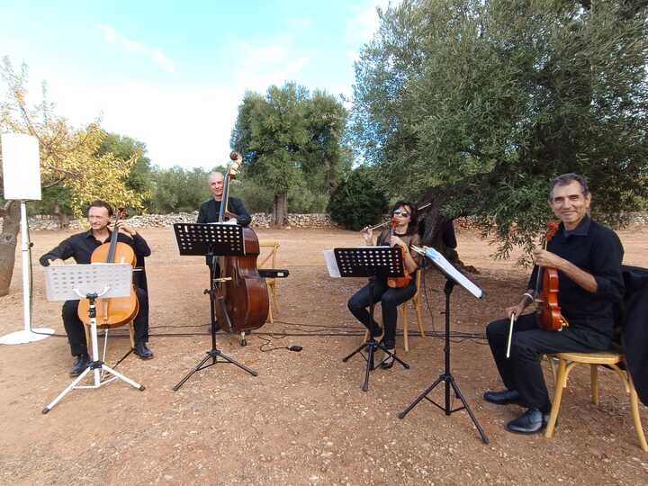 The Puglia String Quartet - performance photo 71